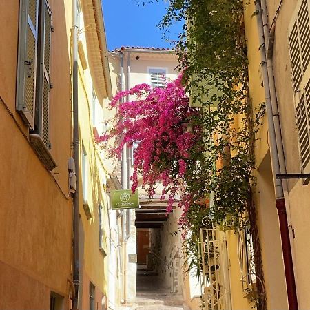 Appartement Palmiers, Coeur De Ville Sur Le Parcours Des Arts Hyères المظهر الخارجي الصورة